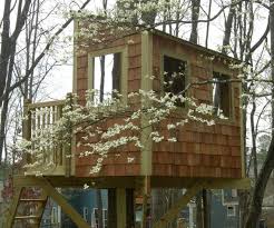 Kauri Treehouse Plans To Build In One