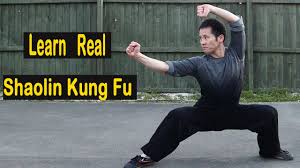 learn real shaolin kung fu step by step