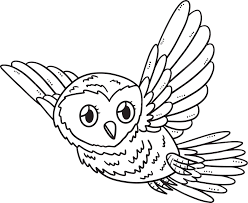 baby owl vector owl drawing