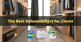 the best closet dehumidifier reviews
