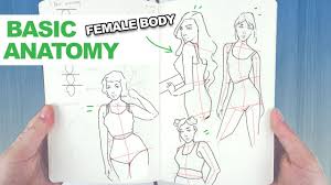 Comparative anatomy appealed to his instinct for finding patterns across different subjects. How To Draw The Female Body My Easy Technique For Basic Human Anatomy Youtube