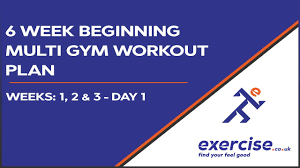 6 week beginners multi gym workout plan