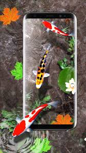 Download all photos and use them even for commercial projects. 3d Koi Fish Wallpaper Hd 3d Fish Live Wallpapers For Android Apk Download