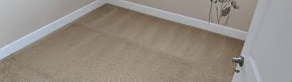 north seattle carpet cleaning