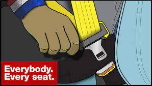 seat belt law tlc