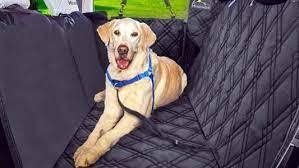 5 Best Dog Seat Covers For 2021