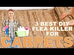diy flea control carpet crushing