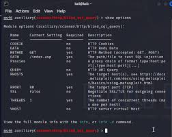 kali linux testing tutorial