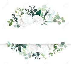 Wedding Floral Horizontal Vector Design Banner White Rose And
