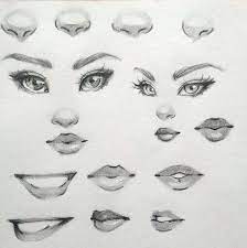 drawing practice drawing eyes nose