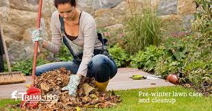Pre Winter Lawn Care And Cleanup
