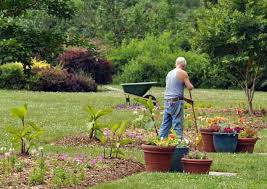 rutgers university gardens usa