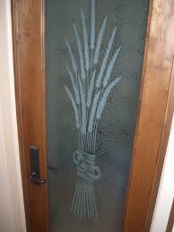 Glass Pantry Door Frosted Glass Pantry