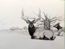 See more ideas about elk drawing, wildlife art, deer art. Elk Painting In Progress 2 Stinnett Sticks