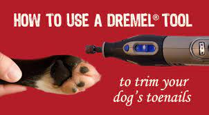 dremel tool to trim your dog s toenails