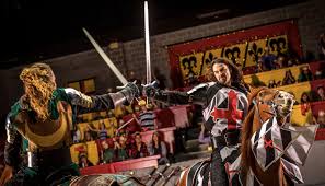 A Wheelchair Accessible Knight At The Medieval Times Castle