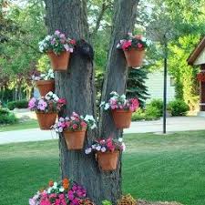 hanging plants hanging flower pots