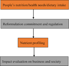 global nutritional challenges of