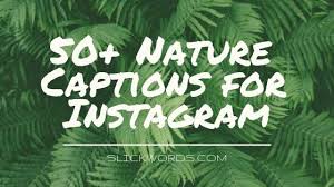 I still fall for you every day. 50 Best Nature Captions For The Instagram Lover Of Nature Photography