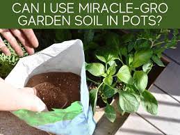 Miracle Gro Garden Soil In Pots
