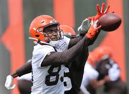 Cleveland Browns Training Camp Offensive Report D J