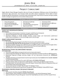 executive project consultant resume