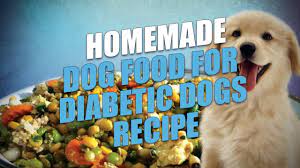 Adding in a daily wet food meal offers your pooch new and exciting. Homemade Dog Food For Diabetic Dogs Recipe Easy To Make Youtube