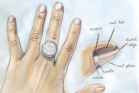 what s your nail type youbeauty