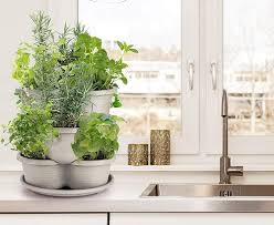 8 Automatic Plant Watering Systems To