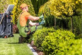 Lawn Service In Celina Tx Lawn Care