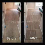 dial carpet cleaning updated march