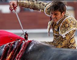 Image result for bullfighting