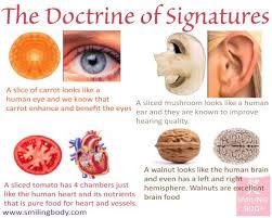 The Doctrine Of Signatures Smiling Body Health Heal