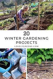 20 Winter Gardening Ideas For The