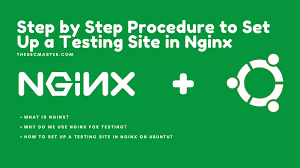 testing site in nginx