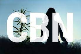 The christian broadcasting network (cbn) is an american conservative evangelical christian religious television network and production company. What Is Cbn And What Are Its Effects Rqs Blog