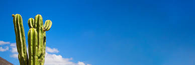 arizona blue sky images browse 151