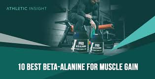 10 best beta alanine supplements for