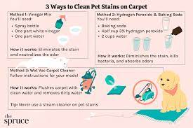 how to clean pet stains from carpet