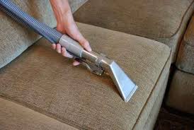 how to disinfect carpet after dog