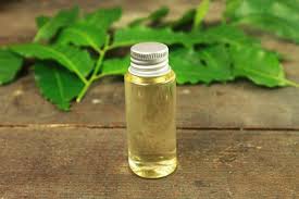 best neem oil for indoor plants
