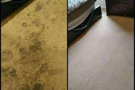 advanced carpet cleaning in louisville