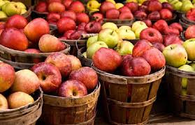 Image result for baskets of apples