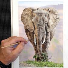 Watercolour Wildlife Painting Tutorial