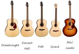 Seagull Guitars Categorized By Shape