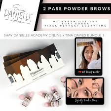 Infinity Brows Shay Danielle Online Academy