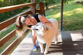 pet friendly cabins and parks in