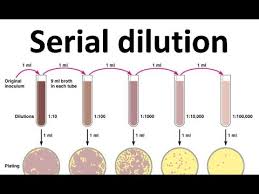 Serial Dilution