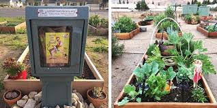 Little Free Libraries And Gardens