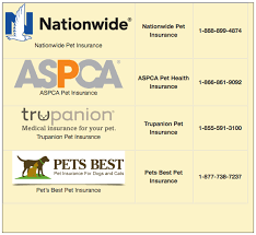 Aspca pet health insurance is one of the few pet insurance companies that will actually cover a cat or dog's behavioral issues. Pet Insurance Petcare Animal Hospital